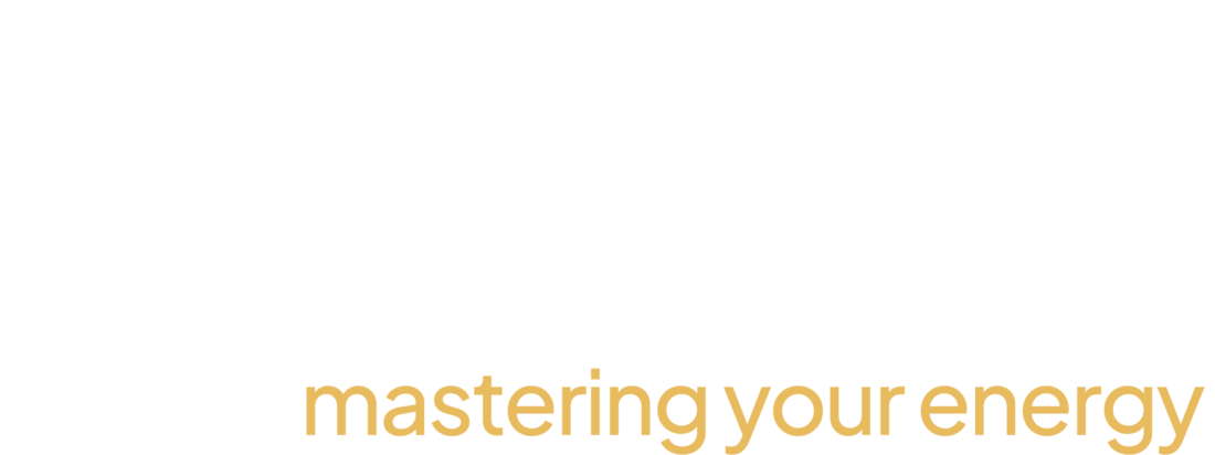 Ludero Logo